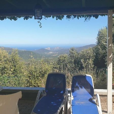Vos Vacances A Lama France Corse Екстериор снимка