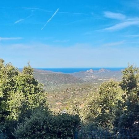 Vos Vacances A Lama France Corse Екстериор снимка