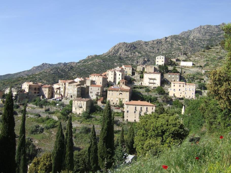 Vos Vacances A Lama France Corse Екстериор снимка