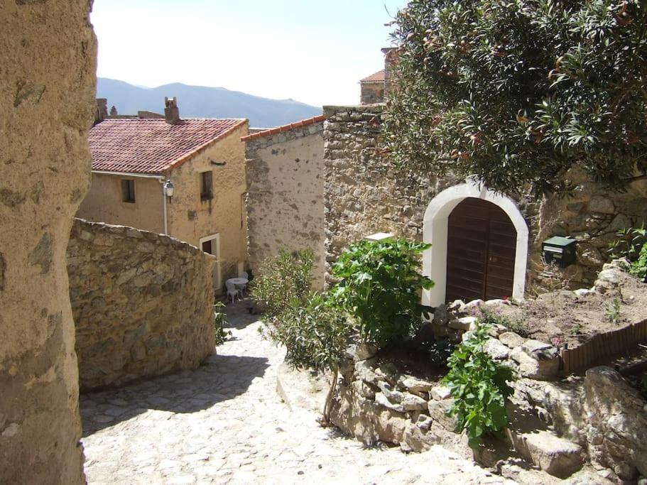Vos Vacances A Lama France Corse Екстериор снимка