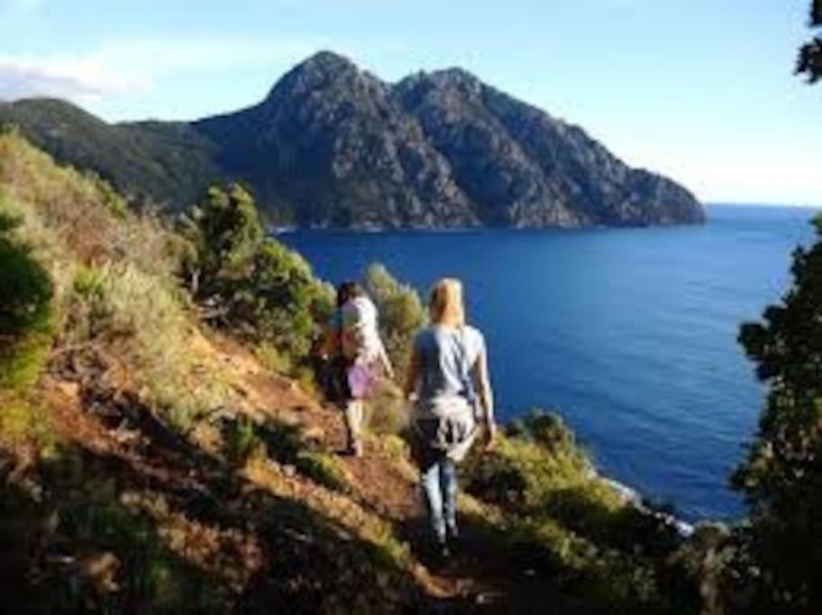 Vos Vacances A Lama France Corse Екстериор снимка