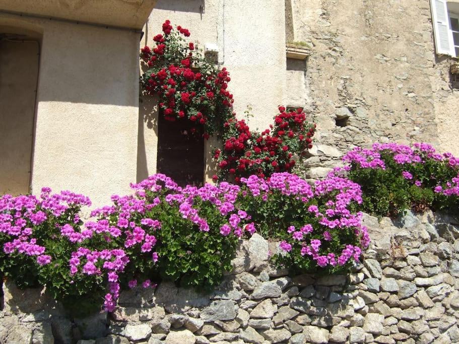 Vos Vacances A Lama France Corse Екстериор снимка