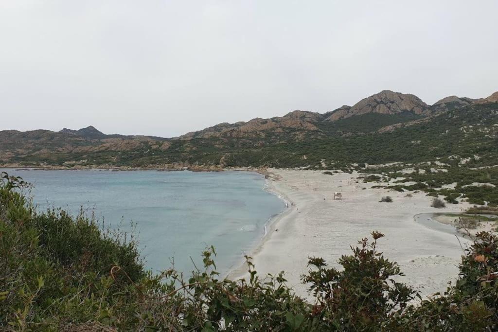 Vos Vacances A Lama France Corse Екстериор снимка
