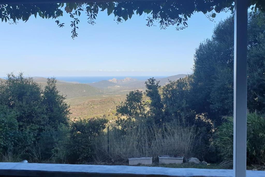 Vos Vacances A Lama France Corse Екстериор снимка