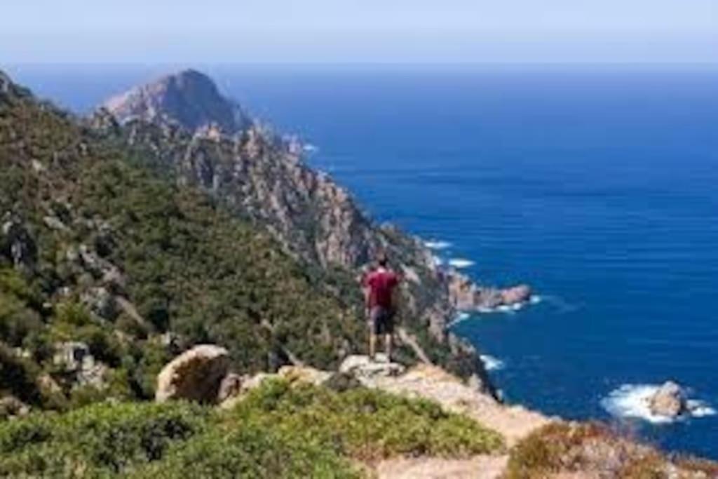 Vos Vacances A Lama France Corse Екстериор снимка