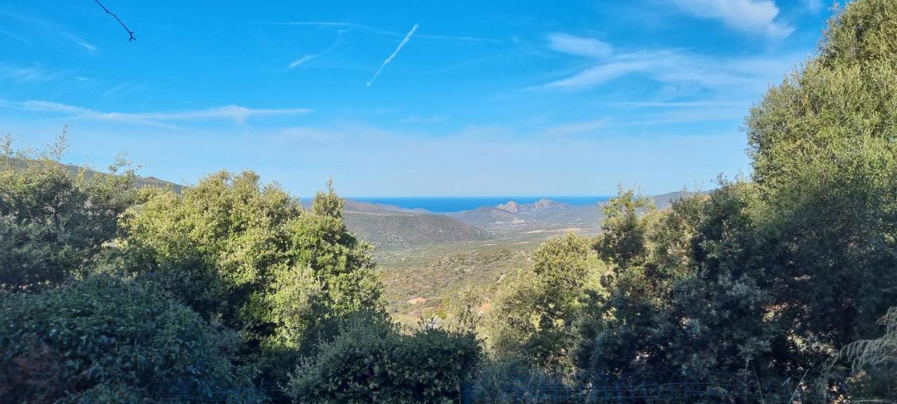 Vos Vacances A Lama France Corse Екстериор снимка